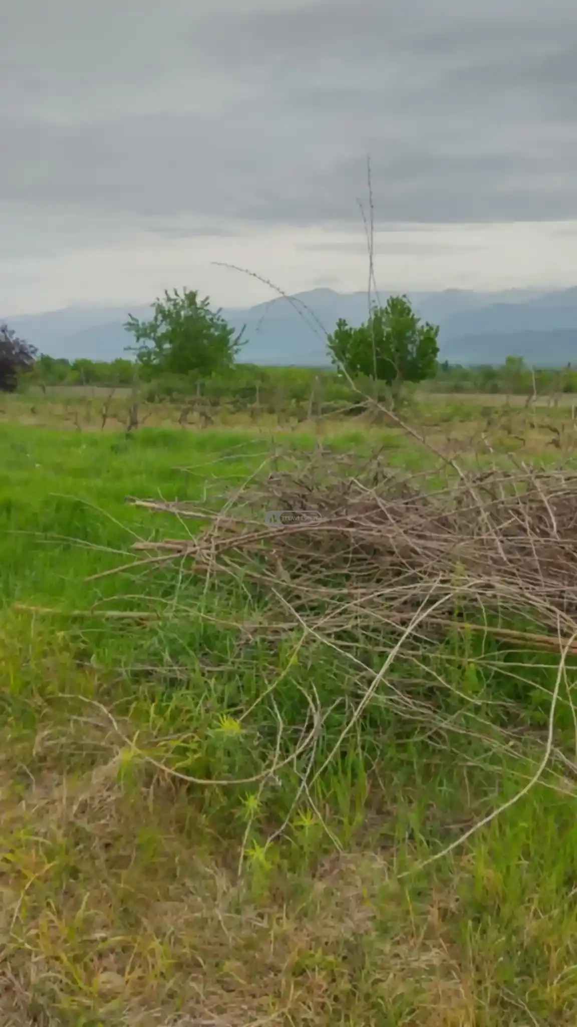 Land for Sale in Kurdgelauri