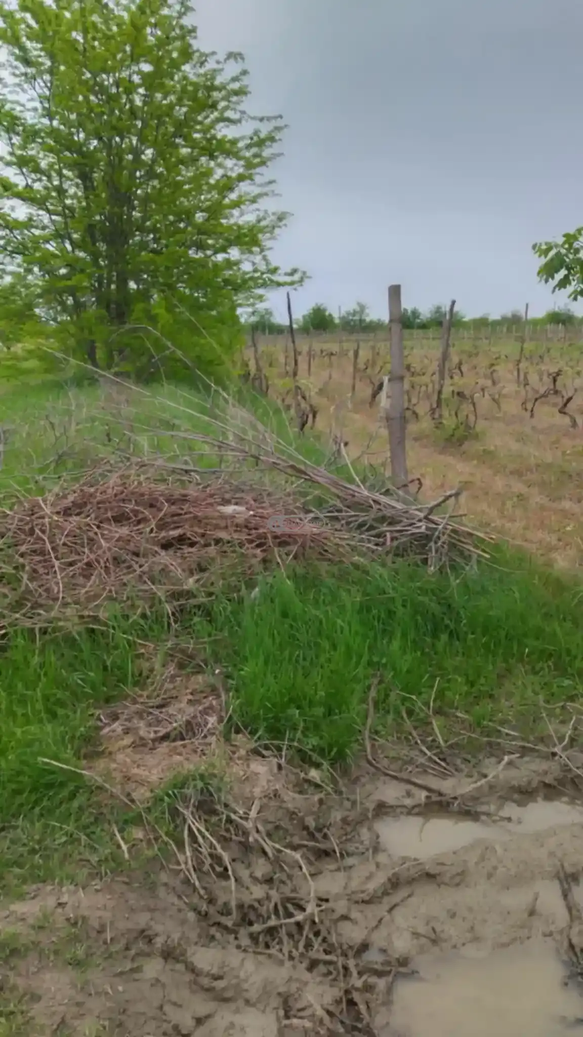 Land for Sale in Kurdgelauri