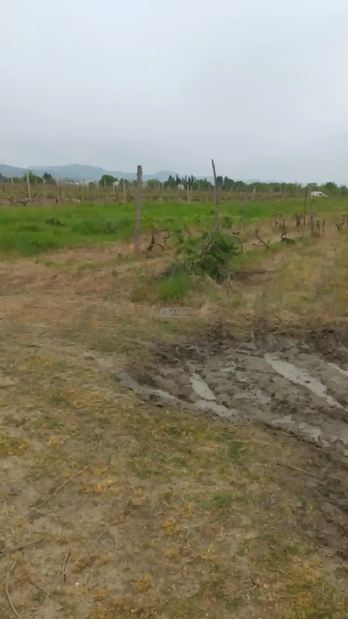 Land for Sale in Kurdgelauri