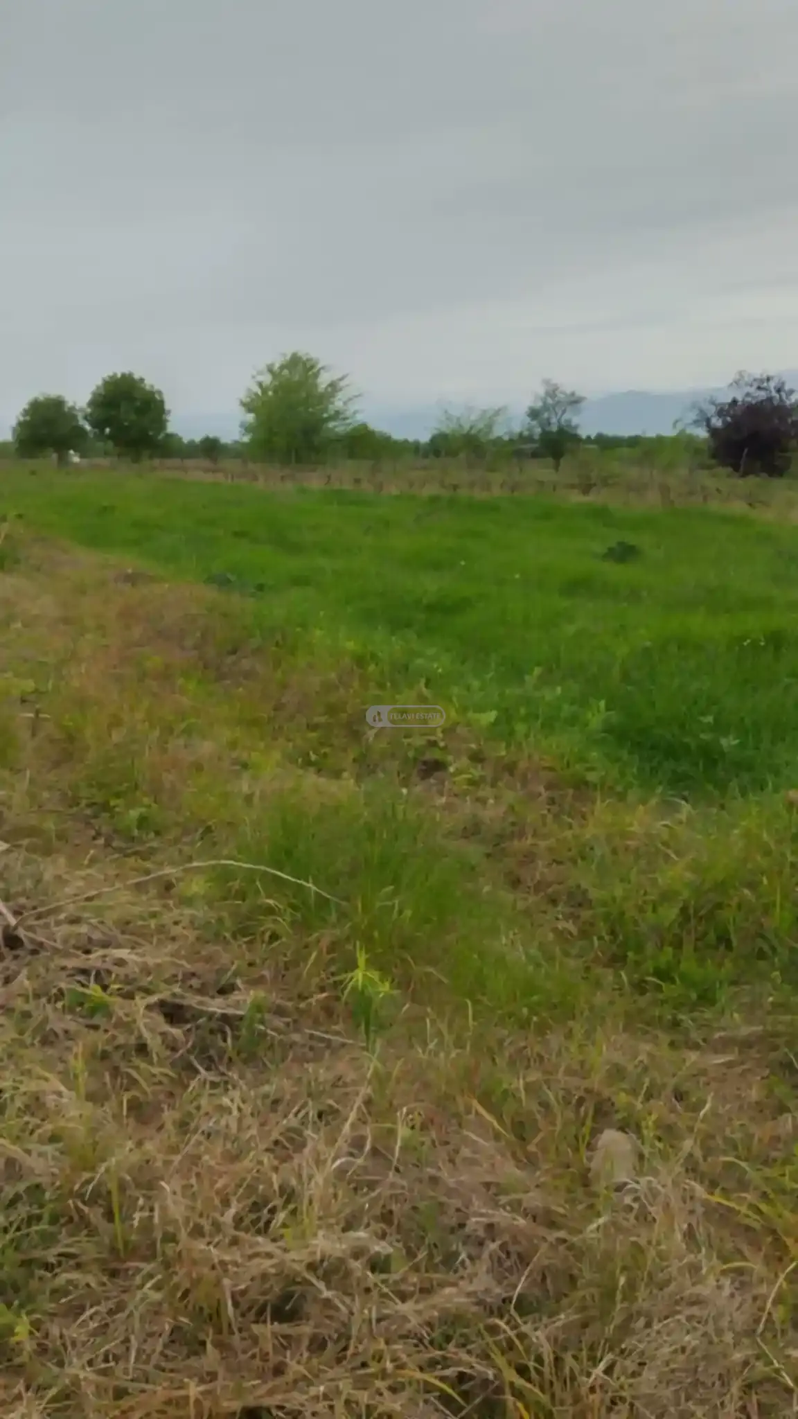 Land for Sale in Kurdgelauri