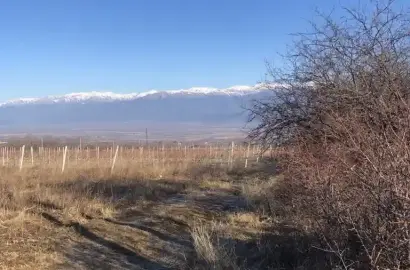 მიწის ნაკვეთი კისისხევში