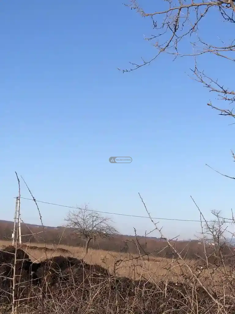 მიწის ნაკვეთი კისისხევში