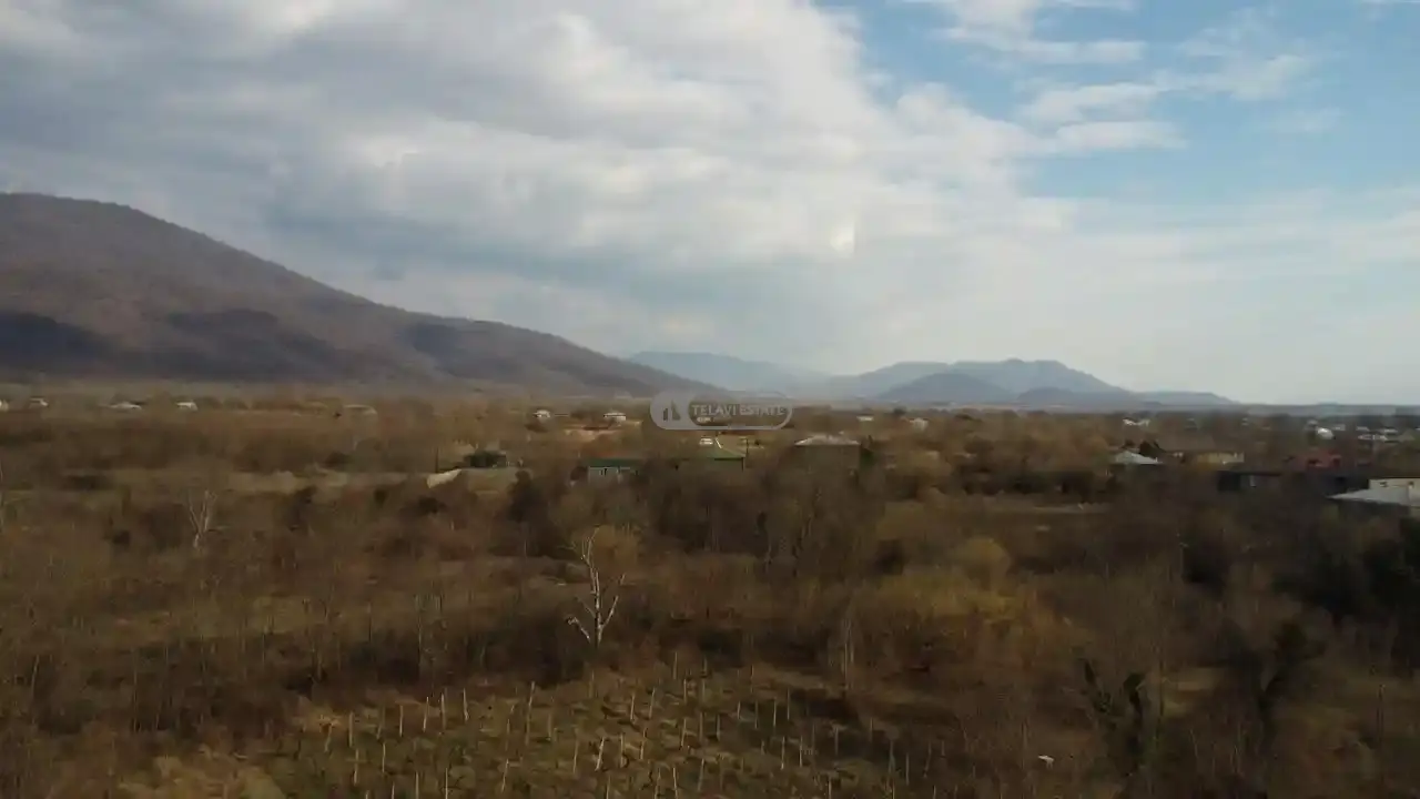 Земельный участок в Пшавели