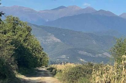 Земельный участок сельскохозяйственного назначения в Вардиcубани