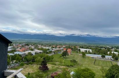 Duplex Apartment (Penthouse) in Telavi