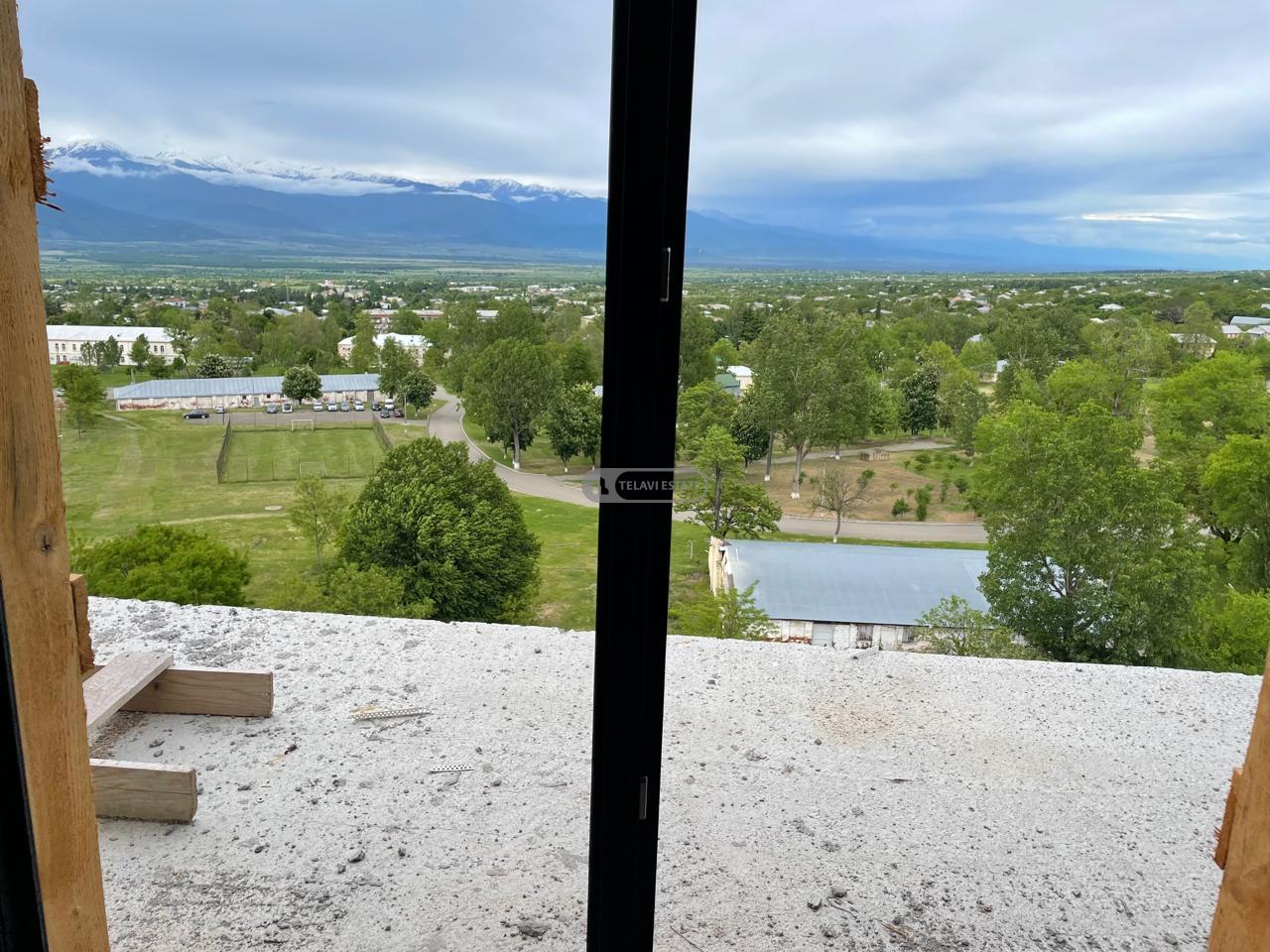 Duplex Apartment (Penthouse) in Telavi