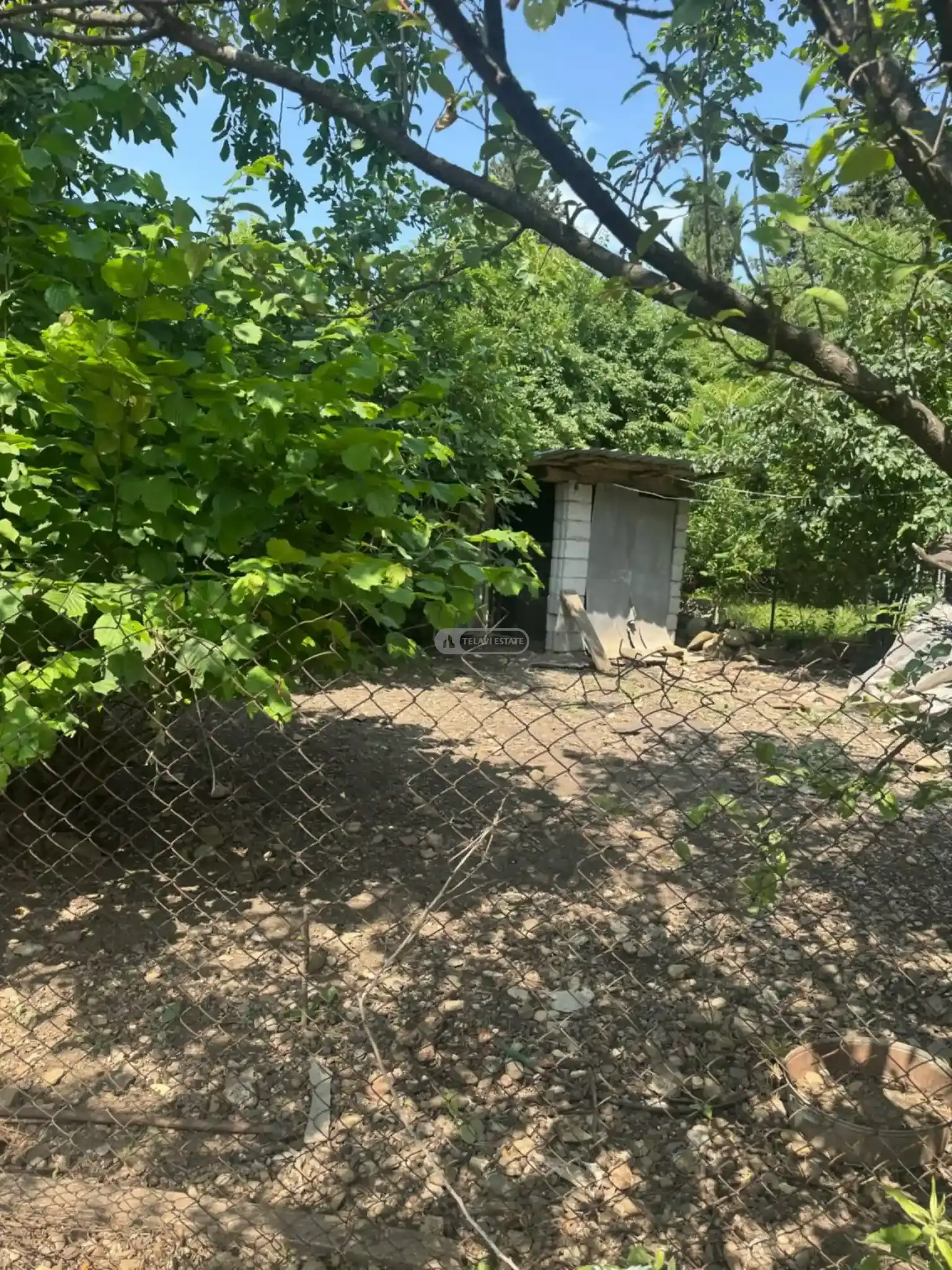 Продается земельный участок в Цинандали