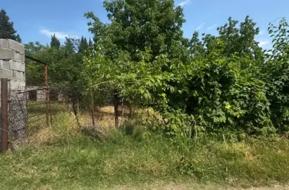 Продается земельный участок в Цинандали