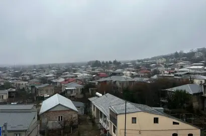 2 ოთახიანი ბინა ლოჯით თელავში