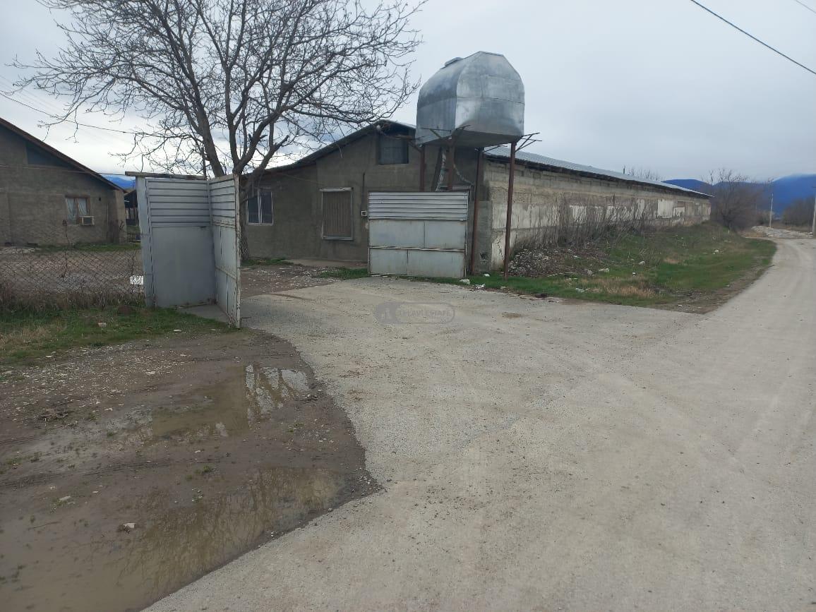 Chicken Farm with Full Infrastructure for Sale