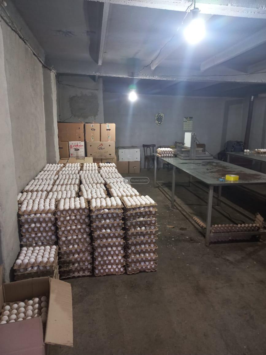 Chicken Farm with Full Infrastructure for Sale