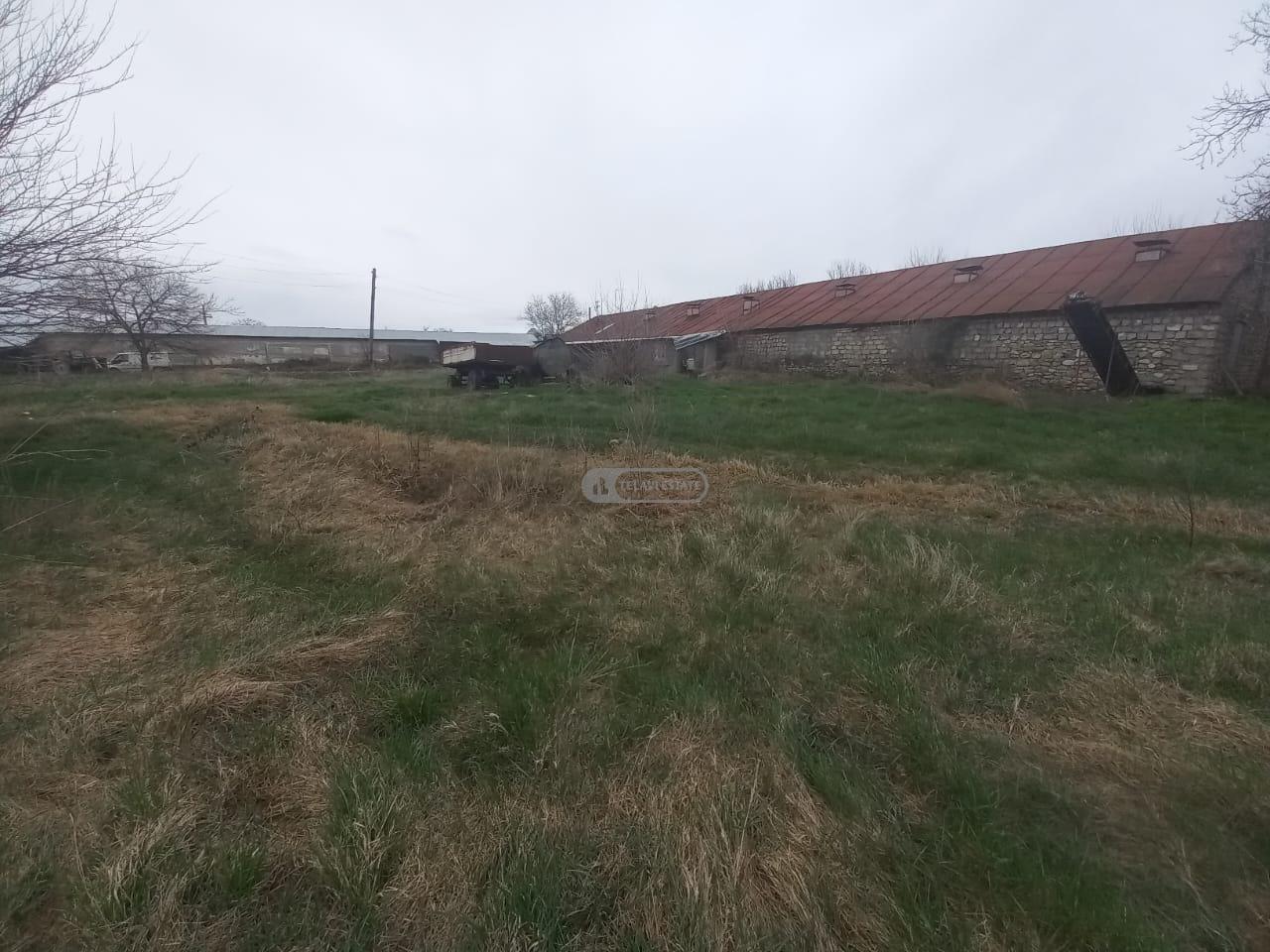 Chicken Farm with Full Infrastructure for Sale