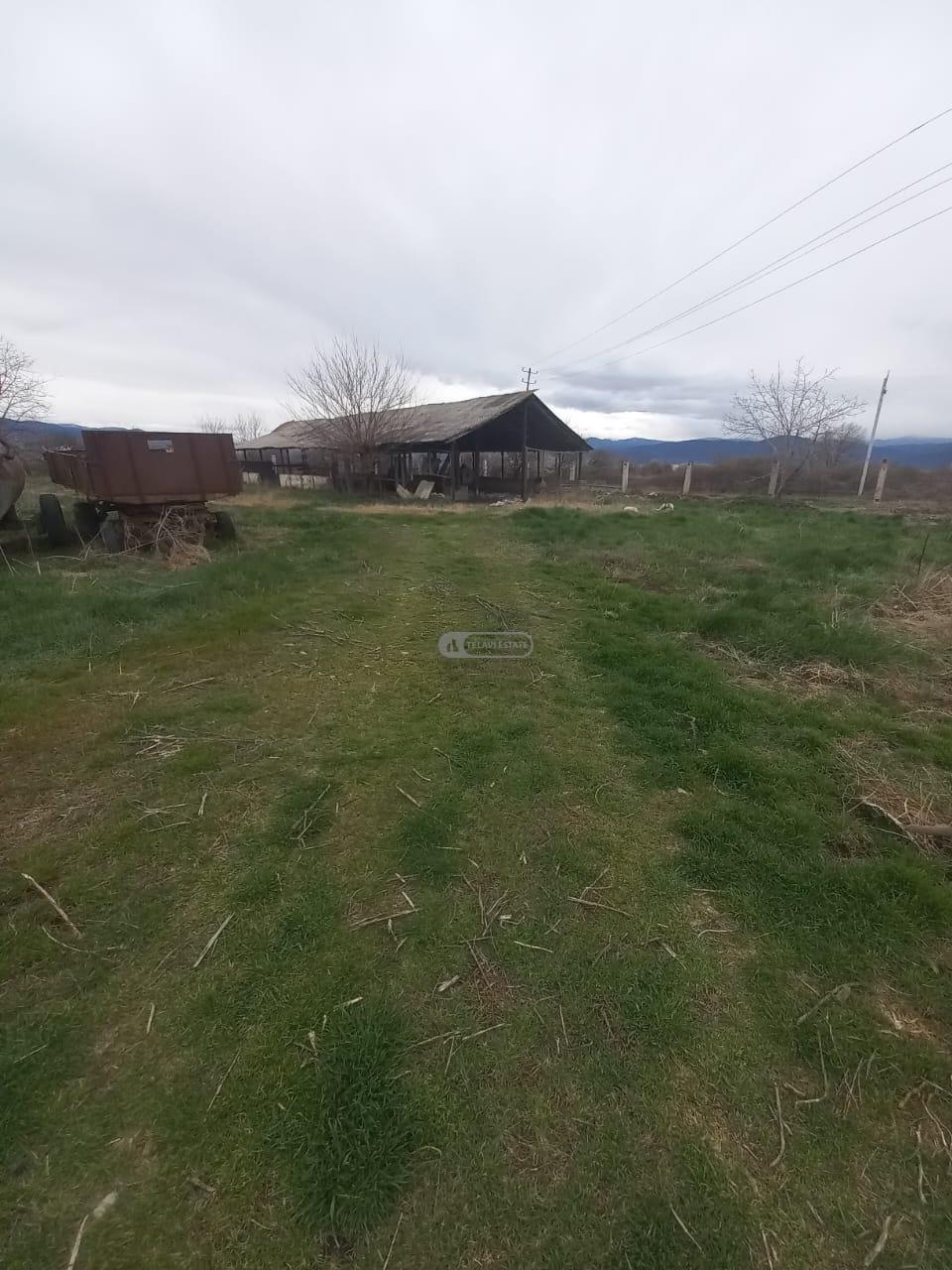 Chicken Farm with Full Infrastructure for Sale