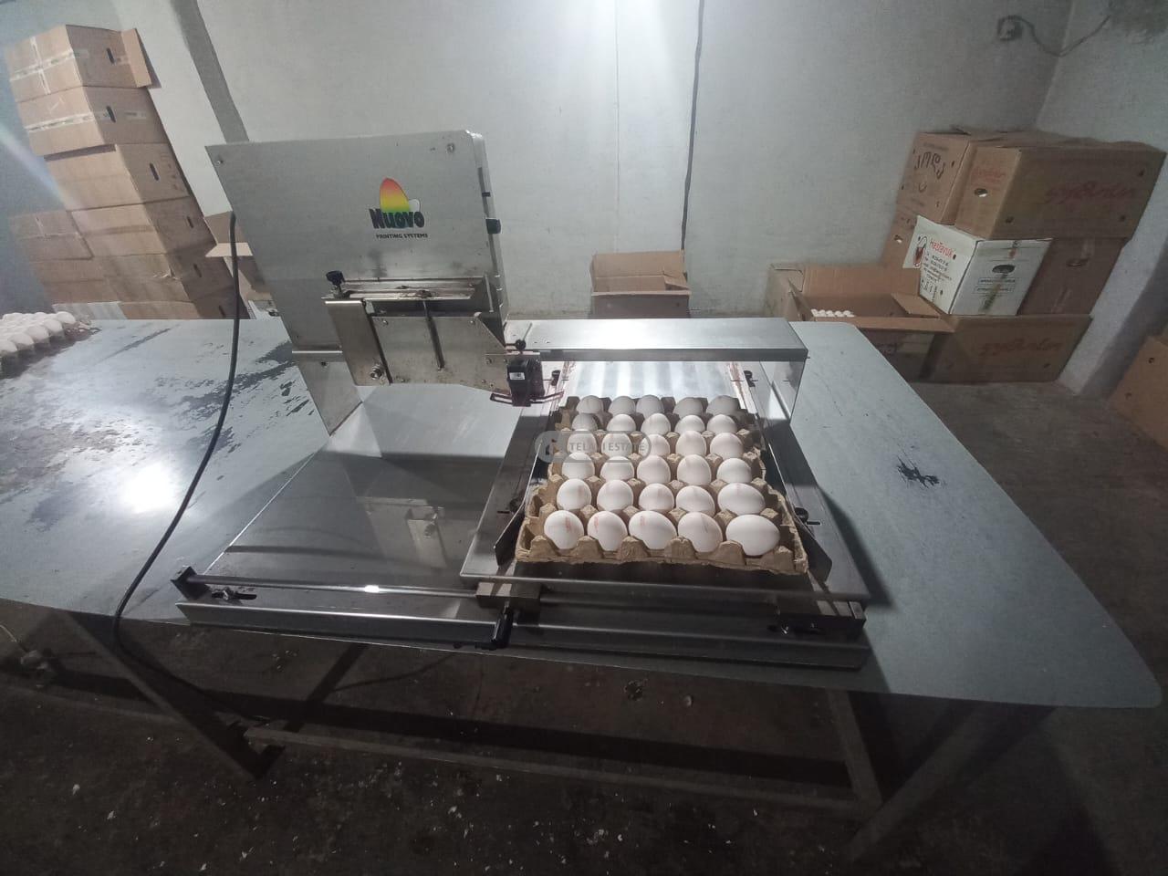 Chicken Farm with Full Infrastructure for Sale