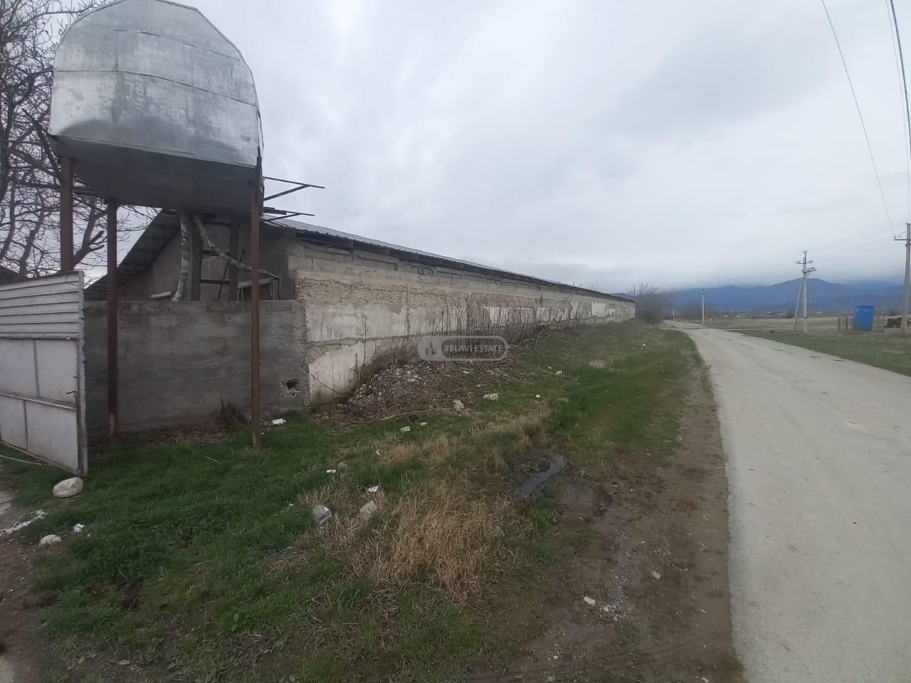 Chicken Farm with Full Infrastructure for Sale