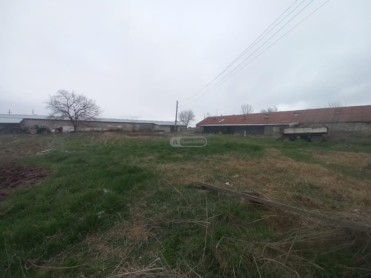 Chicken Farm with Full Infrastructure for Sale