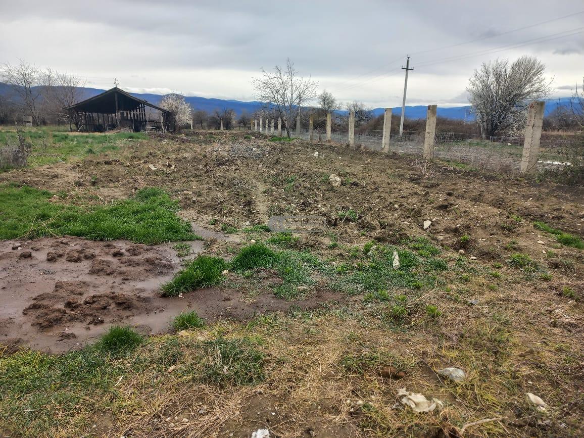 Chicken Farm with Full Infrastructure for Sale