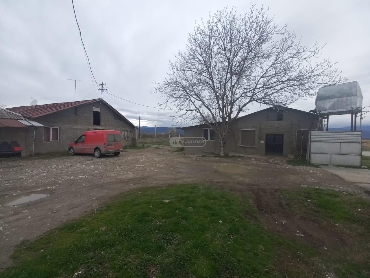 Chicken Farm with Full Infrastructure for Sale