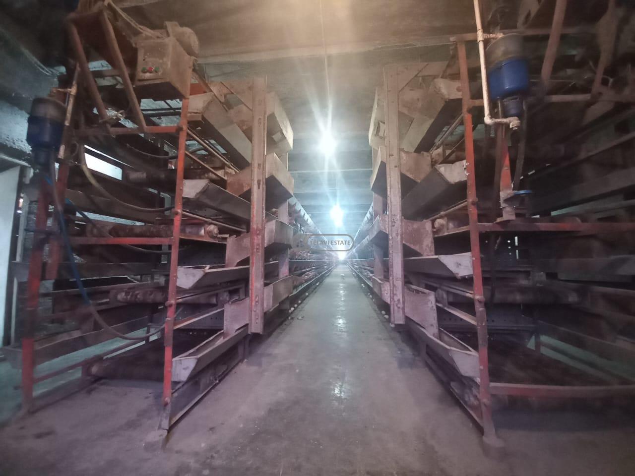 Chicken Farm with Full Infrastructure for Sale