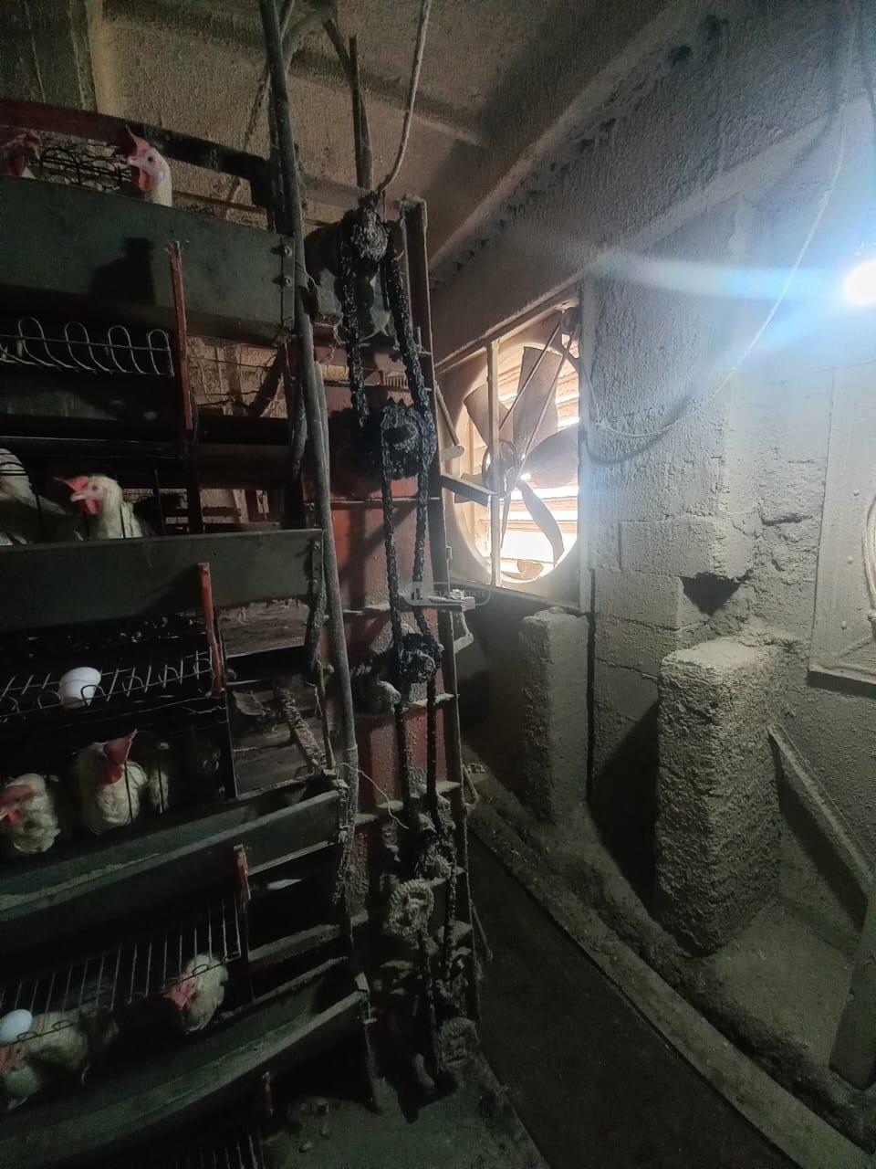 Chicken Farm with Full Infrastructure for Sale