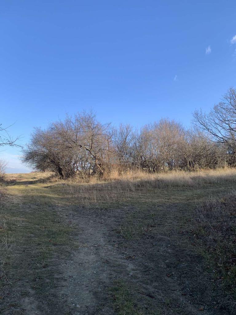 Land Plot for Sale in Vardisubani