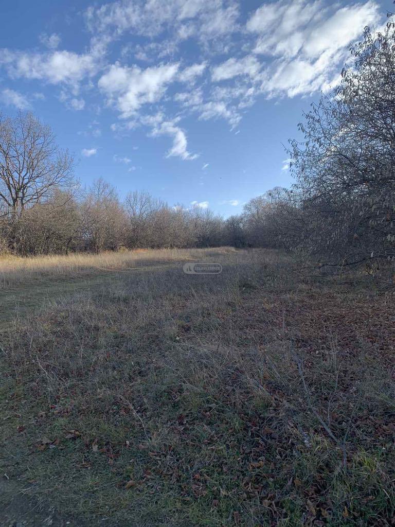 Land Plot for Sale in Vardisubani