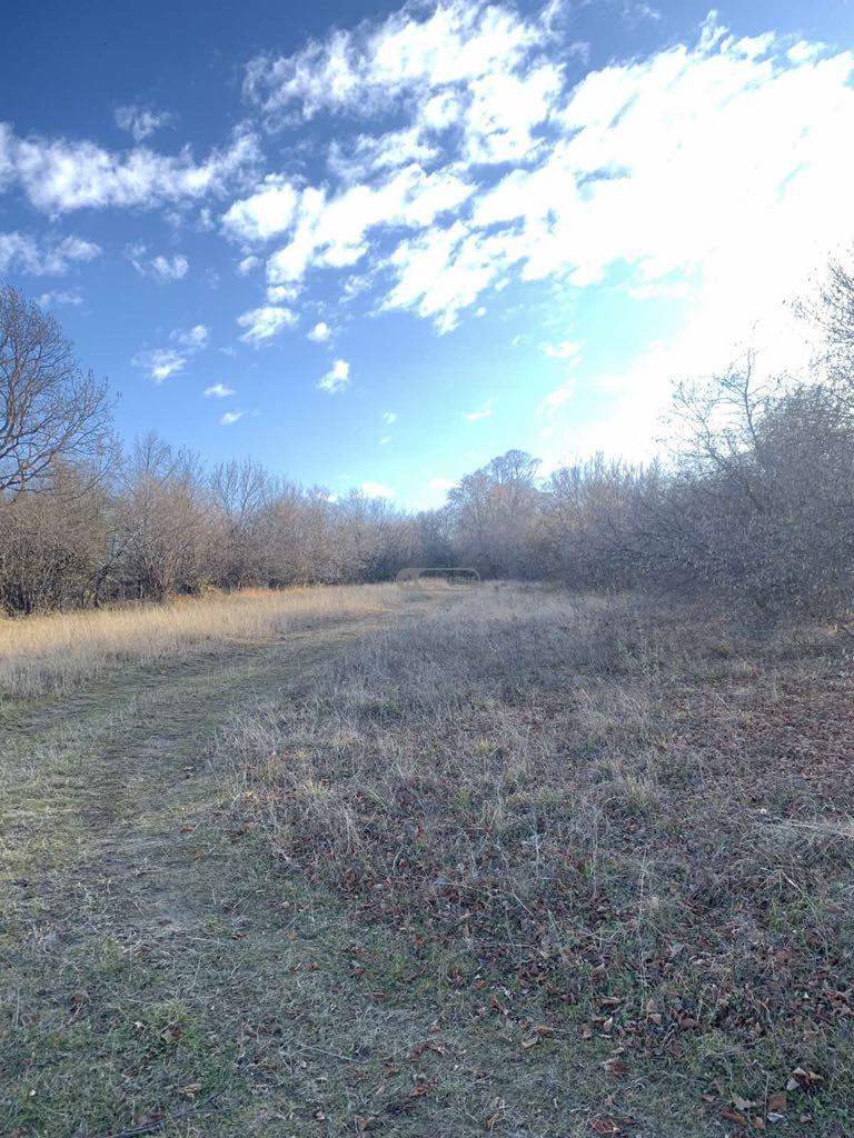 Land Plot for Sale in Vardisubani