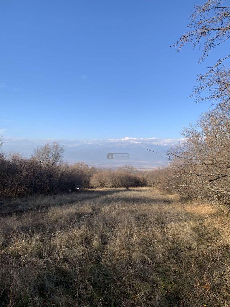 Land Plot for Sale in Vardisubani