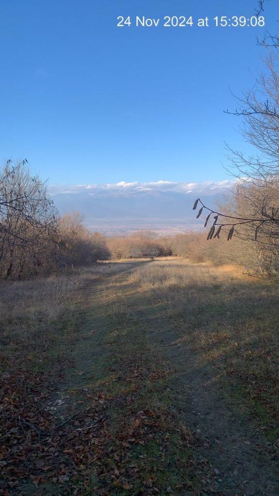 Land Plot for Sale in Vardisubani