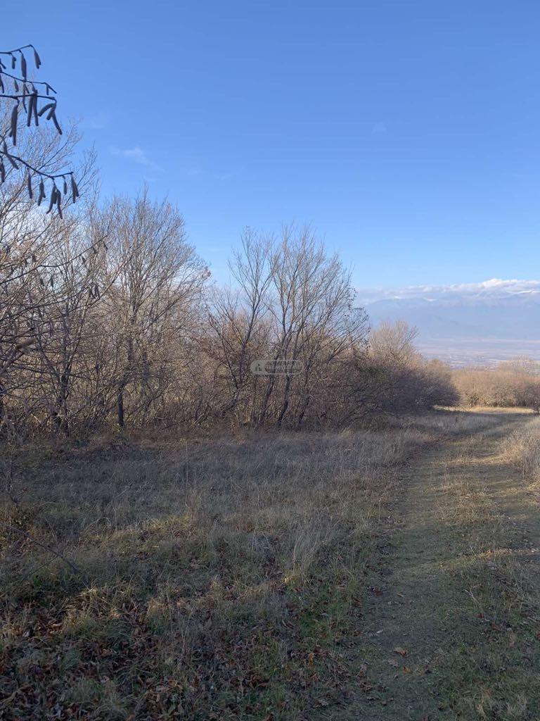 Land Plot for Sale in Vardisubani