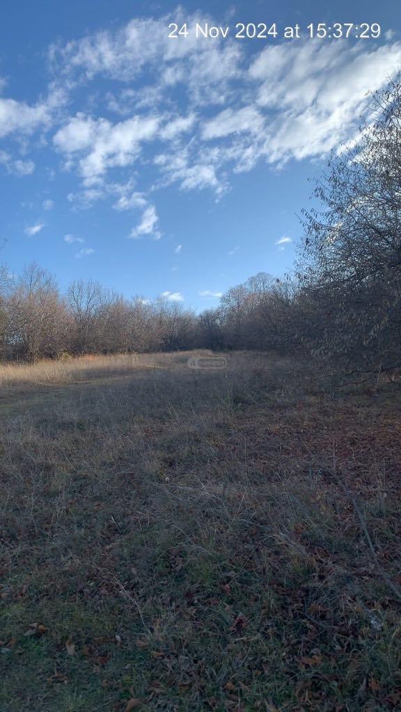 Land Plot for Sale in Vardisubani