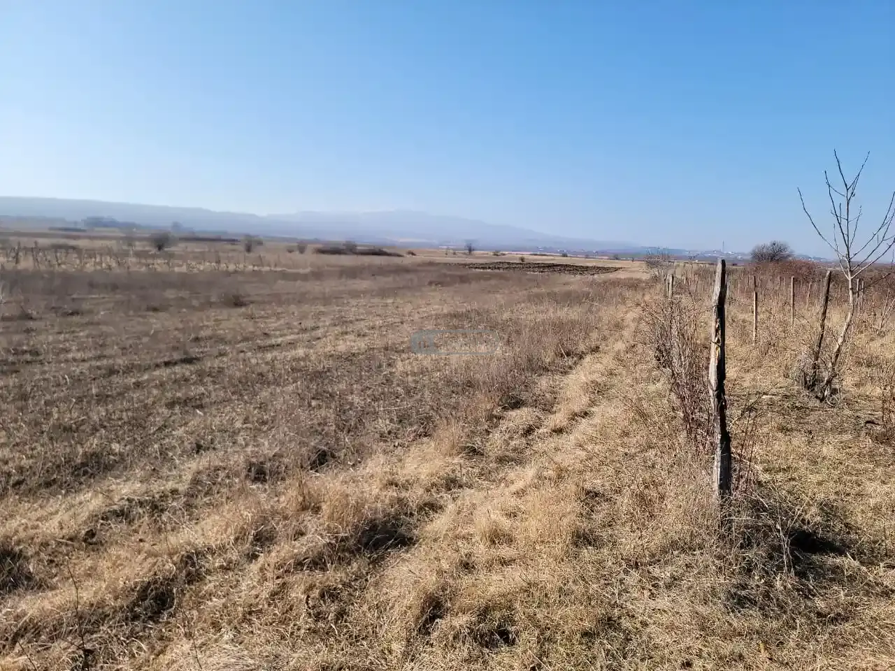 Old Vineyard in Kisiskhevi