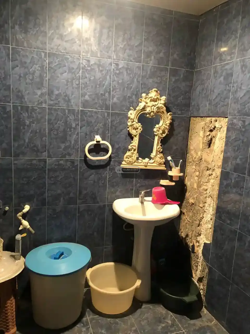 Beletage House with a Mansard for Sale in Telavi