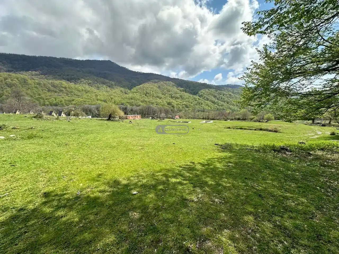 Земельный участок рядом с заповедником Лагодехи