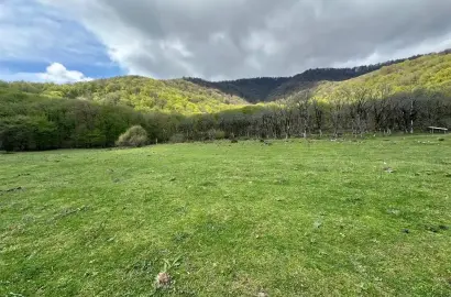 Земельный участок рядом с заповедником Лагодехи