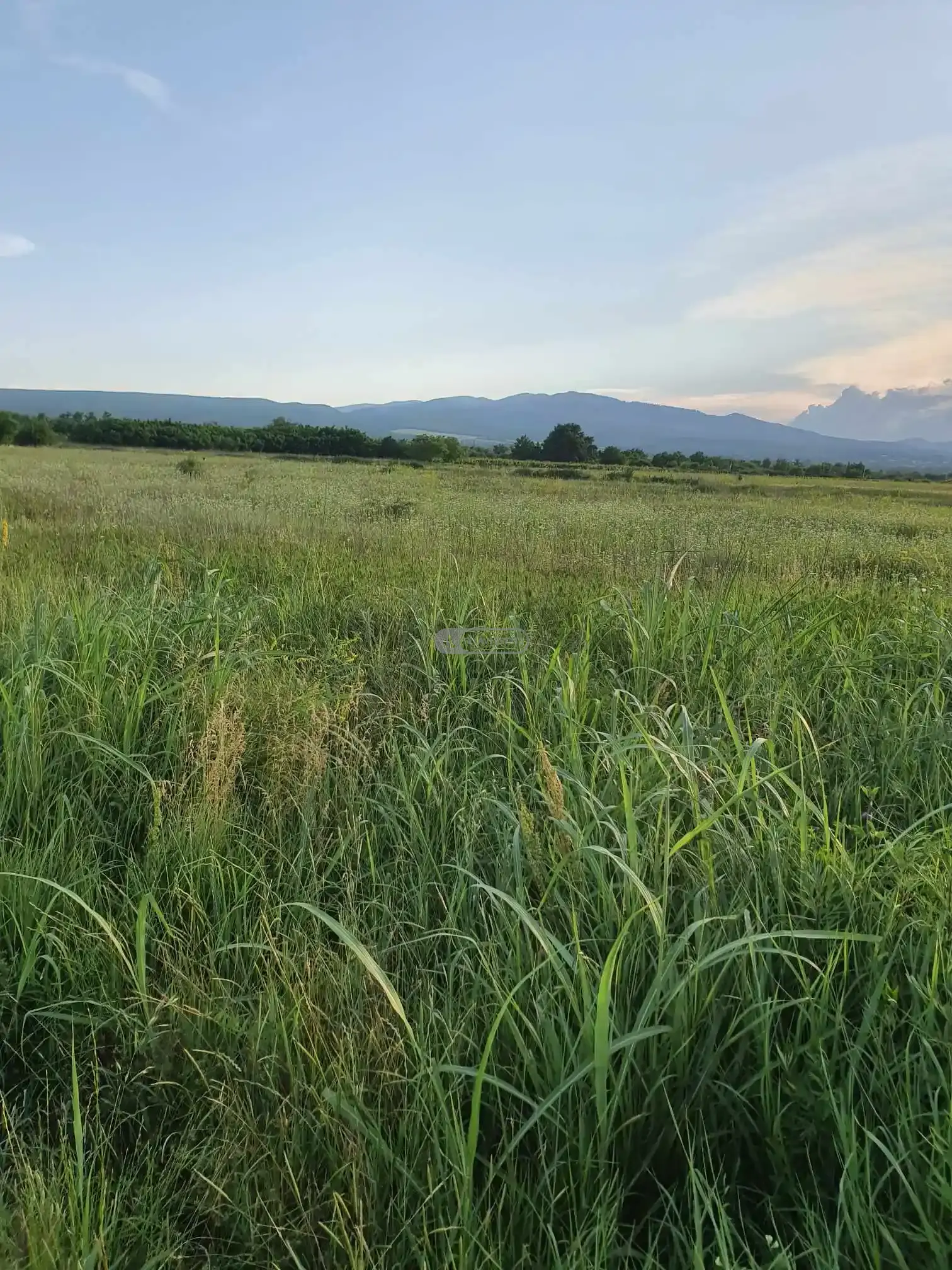 Земельный участок в Кисисхеви