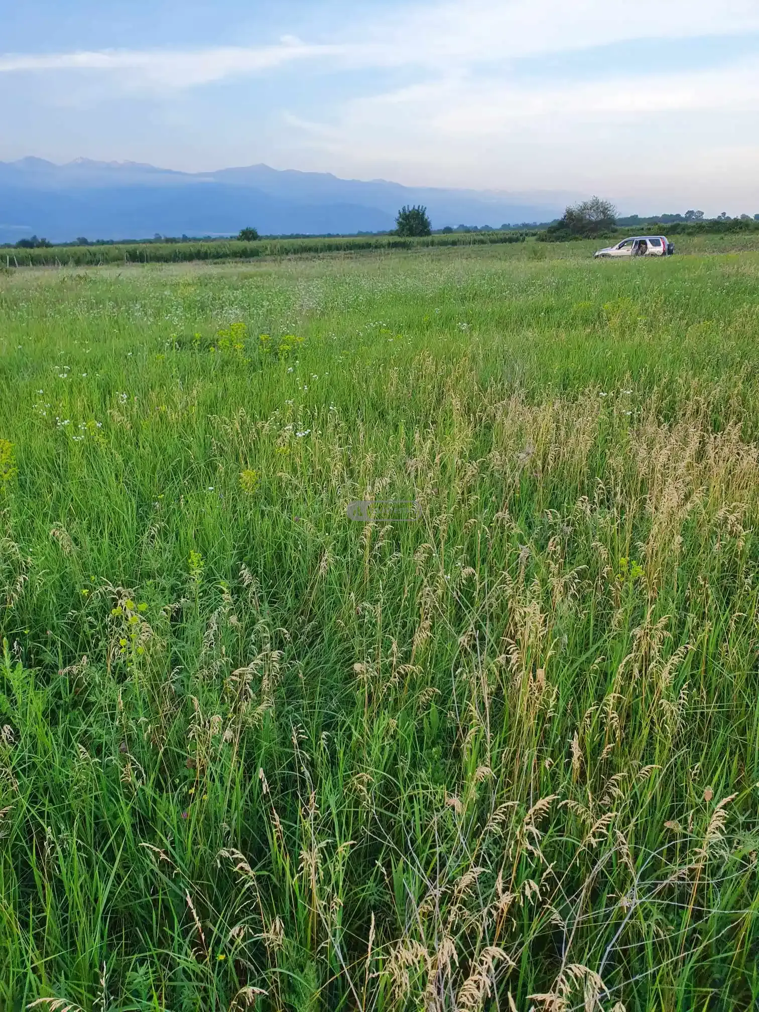 Земельный участок в Кисисхеви