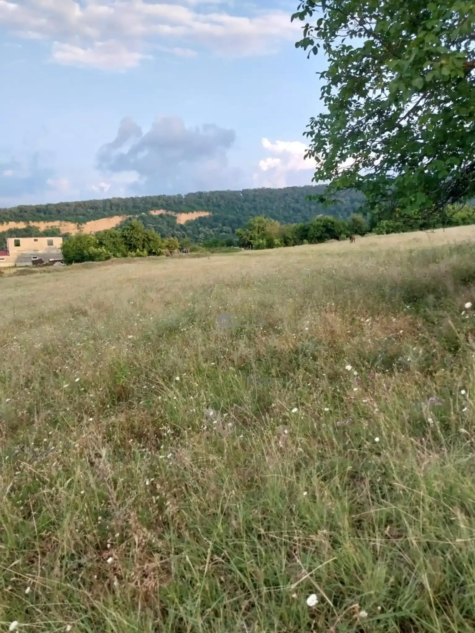 Инвестиционный земельный участок в Кисисхеви