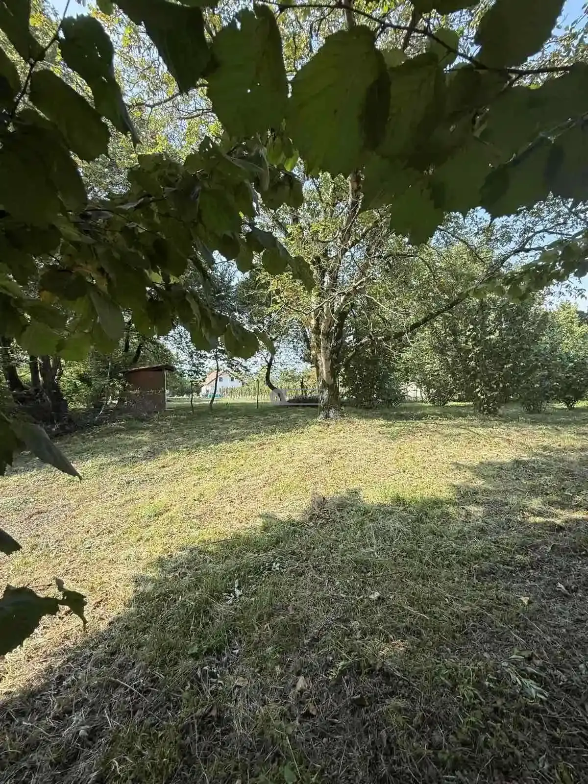 Country Land for Sale in Artana