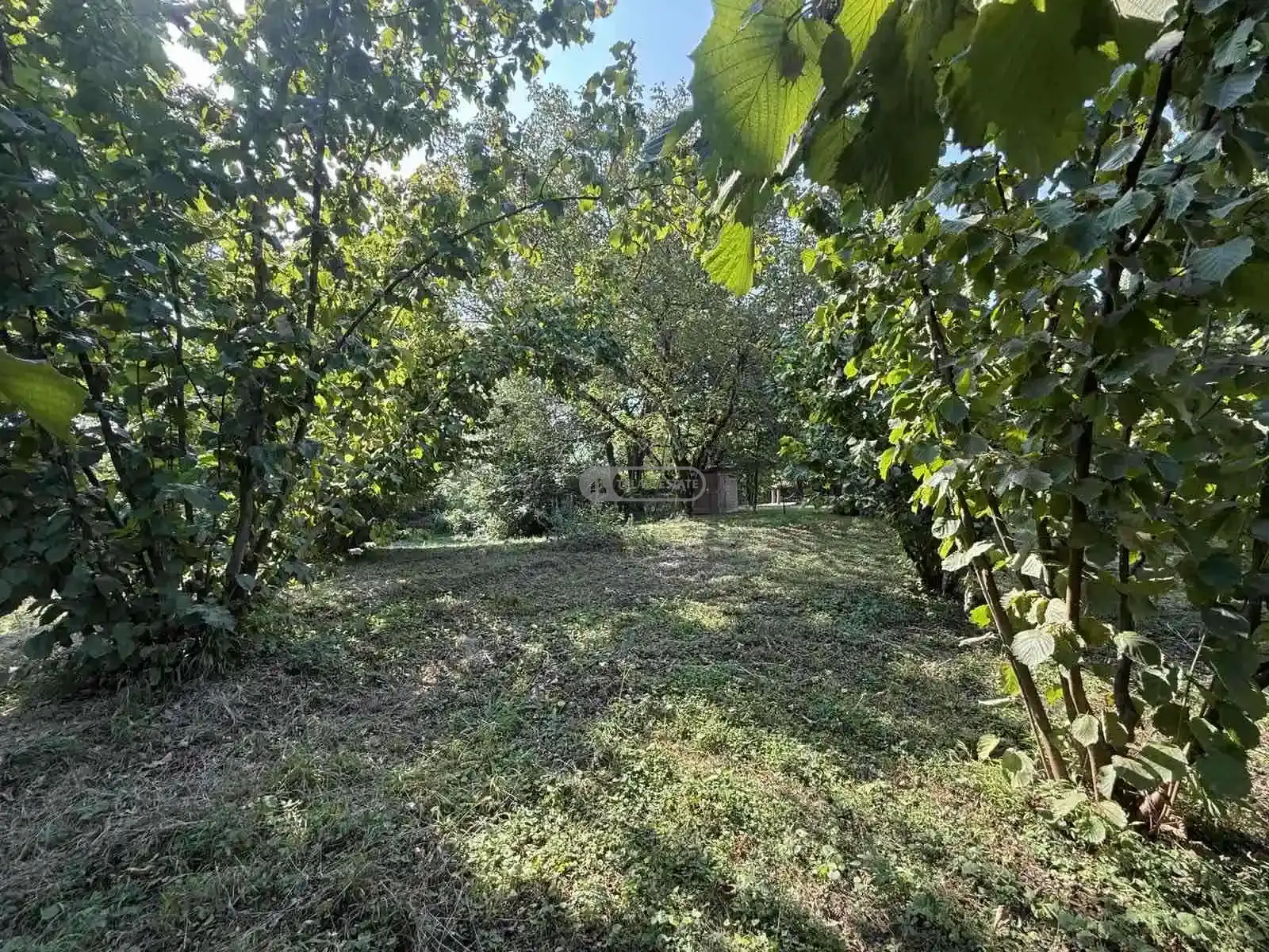 Country Land for Sale in Artana