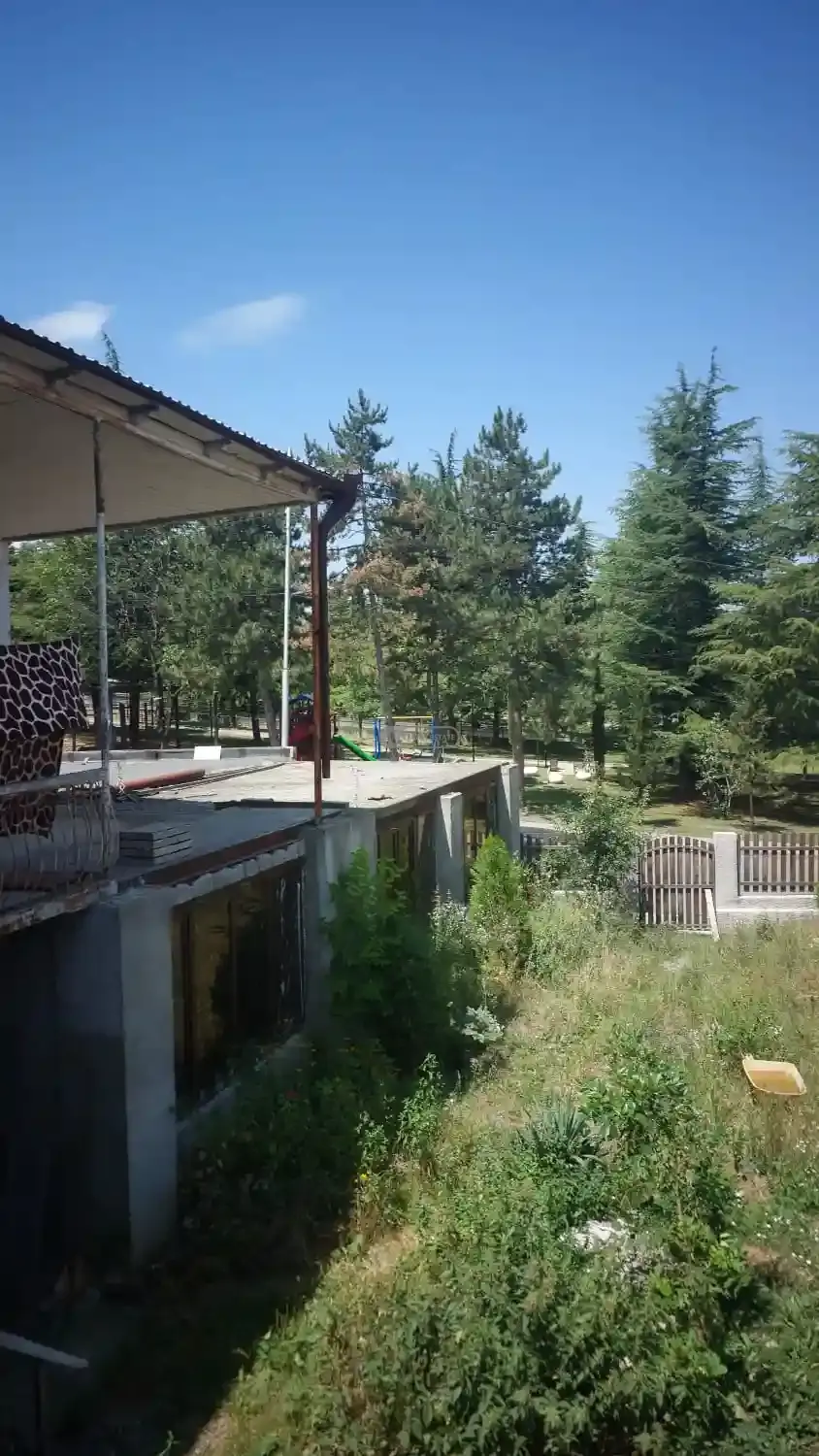 Investment Land Plot in Telavi