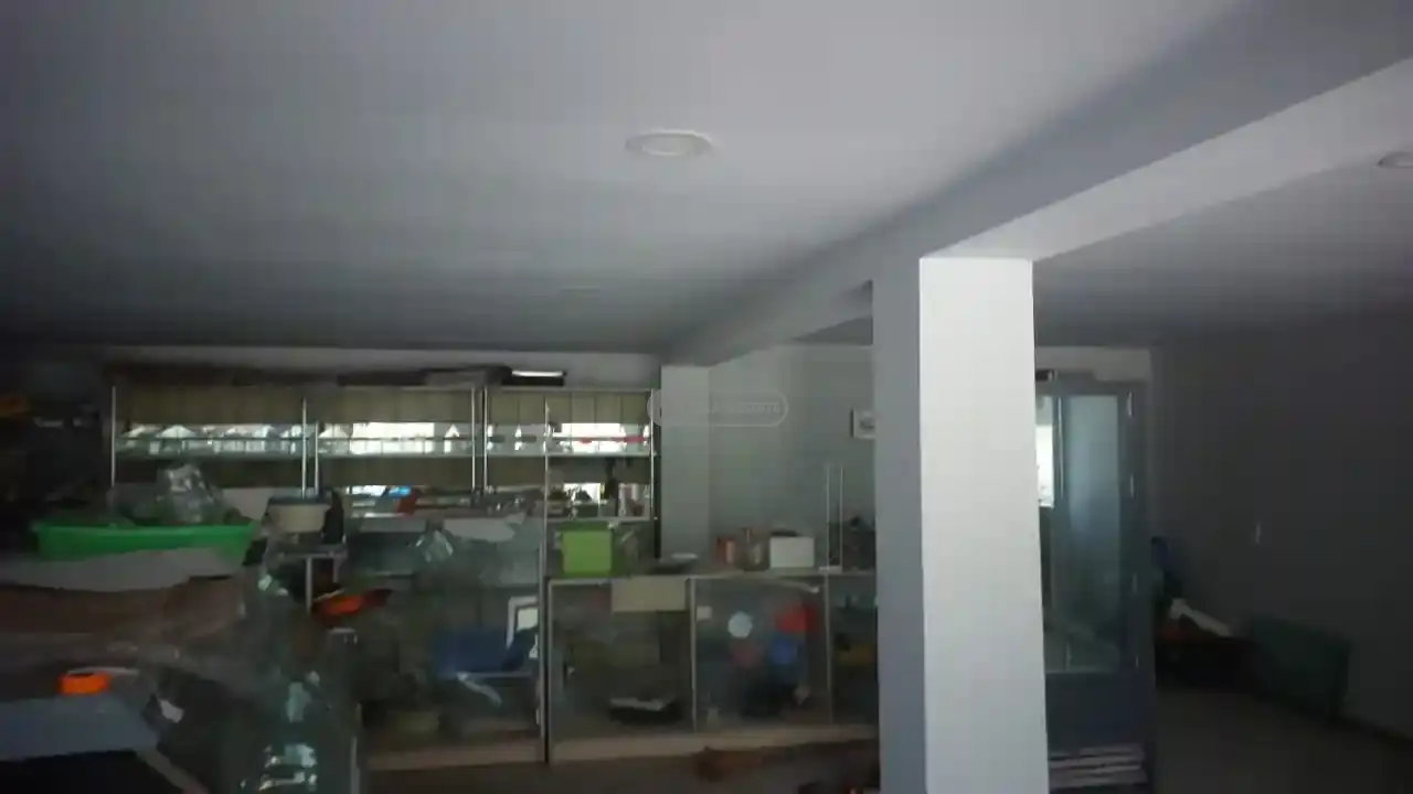 Investment Land Plot in Telavi