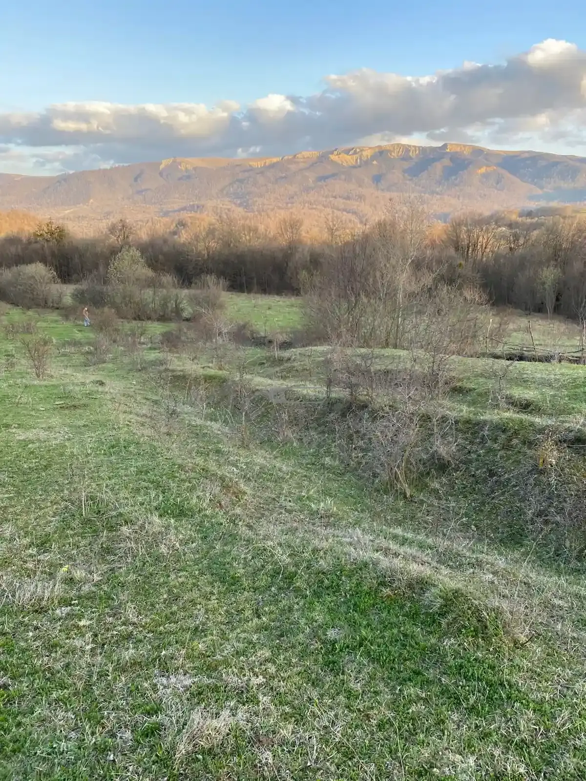 Продается земельный участок в селе Тетрицклеби