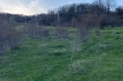 Продается земельный участок в селе Тетрицклеби