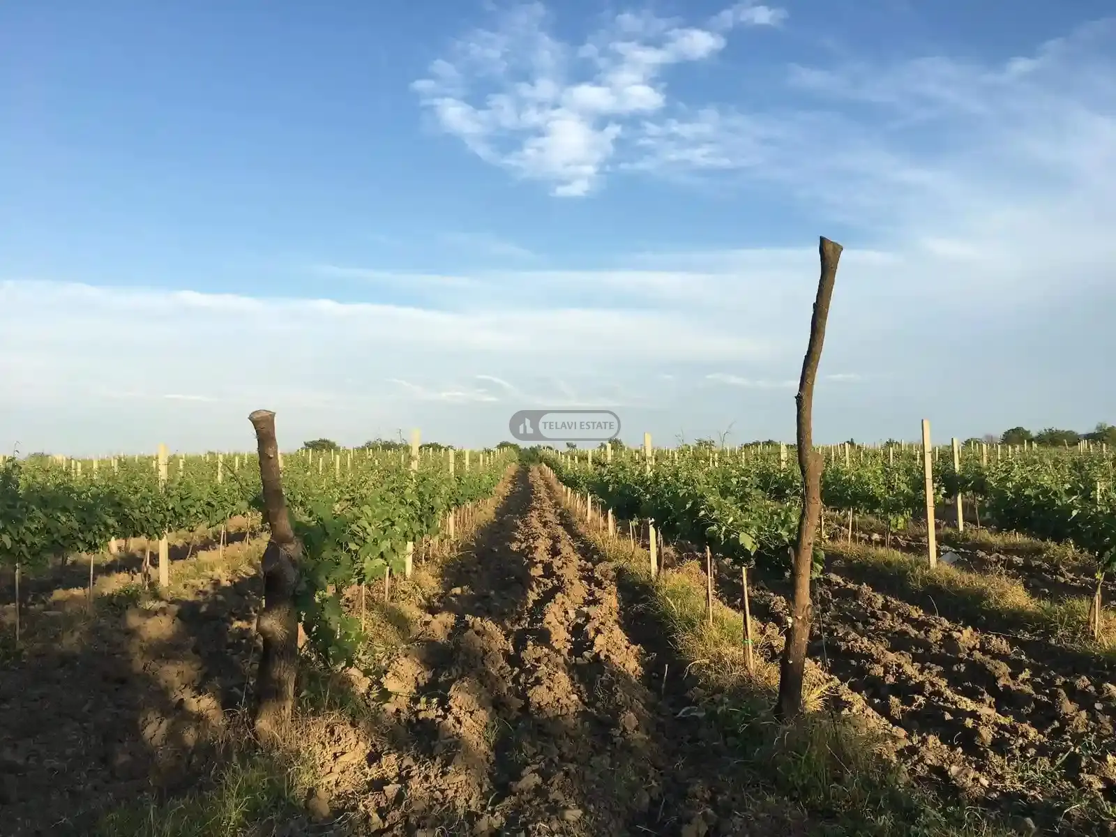 Land for Sale in Vanta