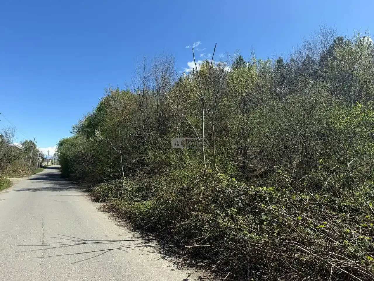 Продается земельный участок в Шалаури