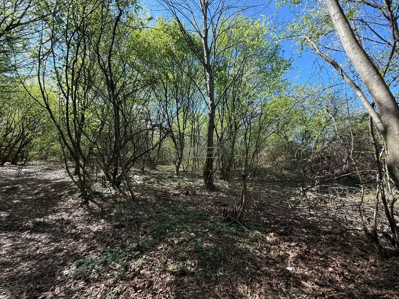 Продается земельный участок в Шалаури