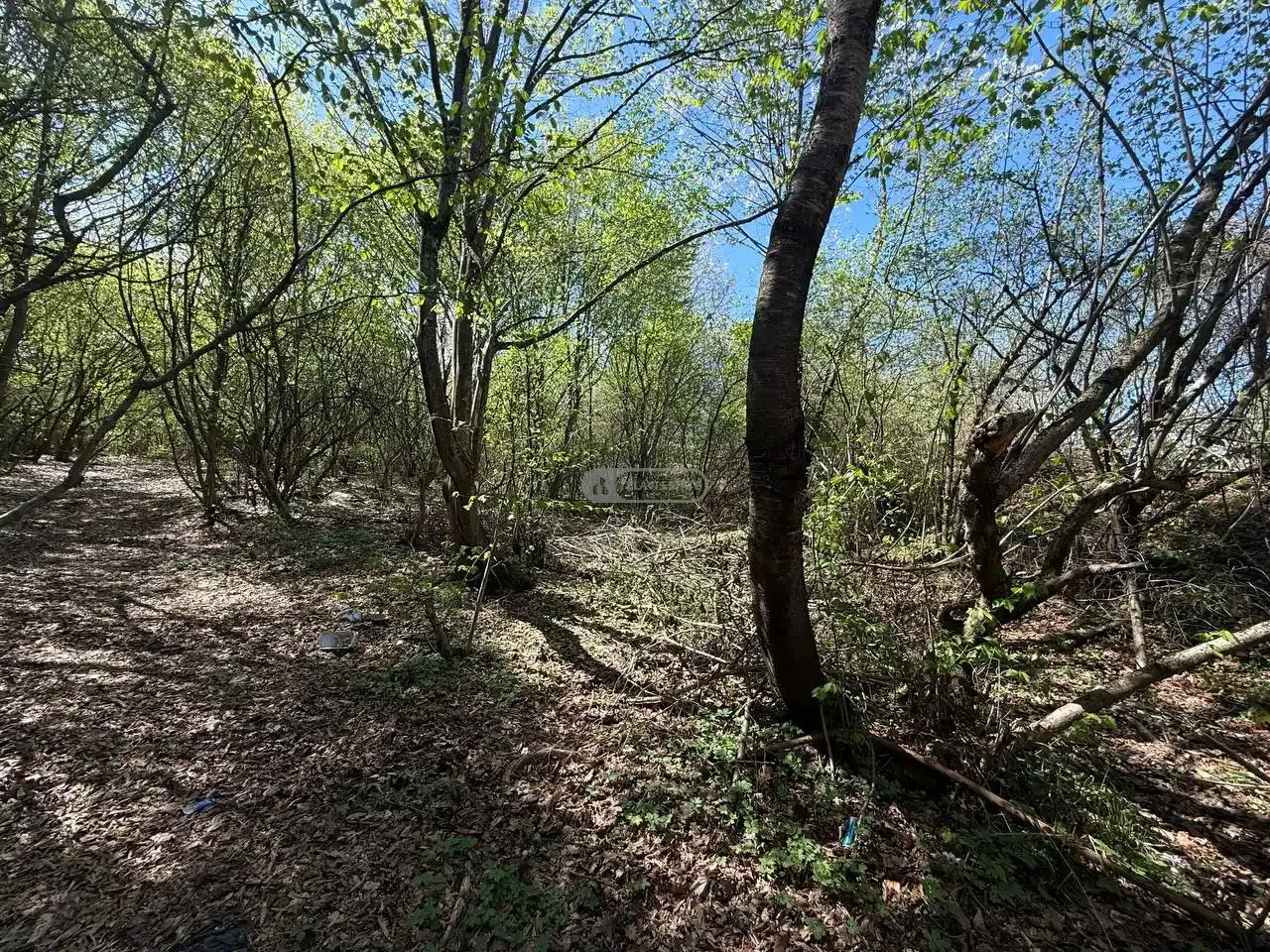 Продается земельный участок в Шалаури