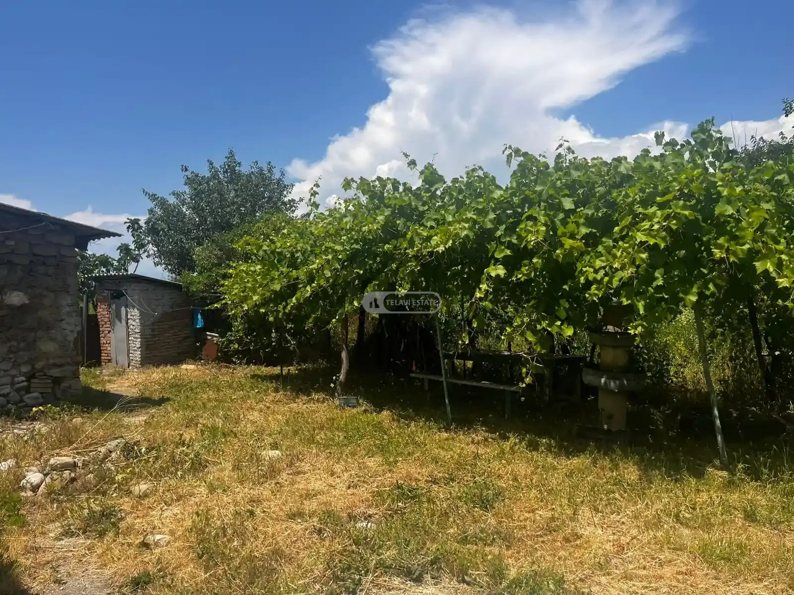 Продается дом в селе Кондоли