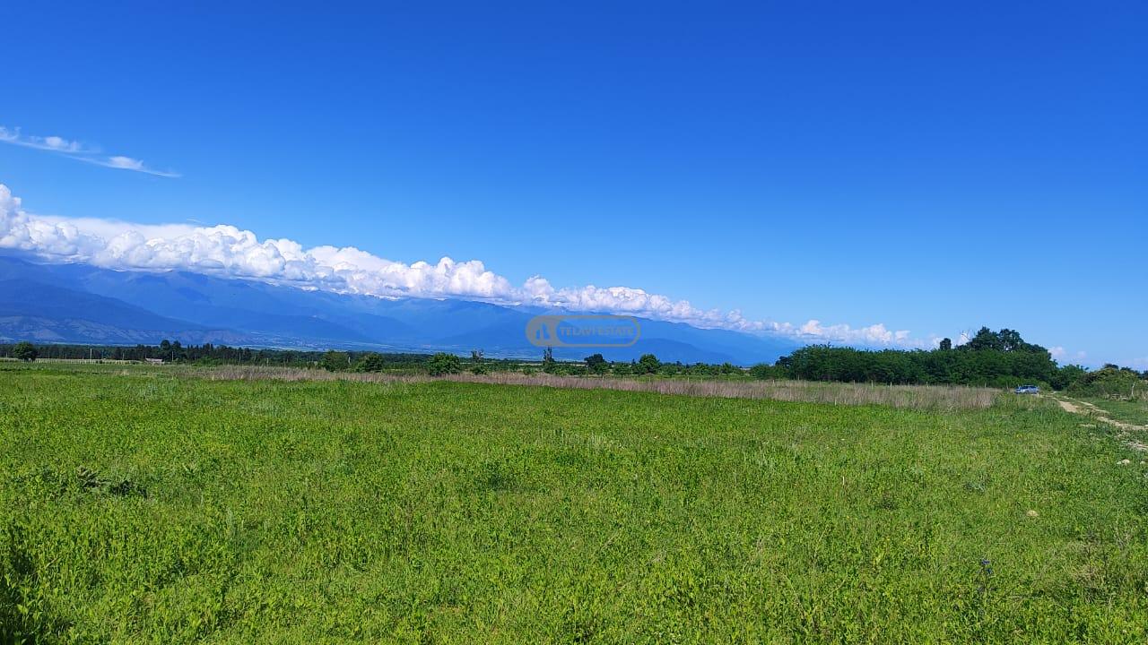 Land for Sale in Nasamkhrali